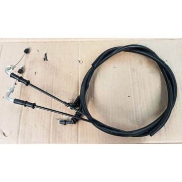 Arora Beatrix Gaz Teli